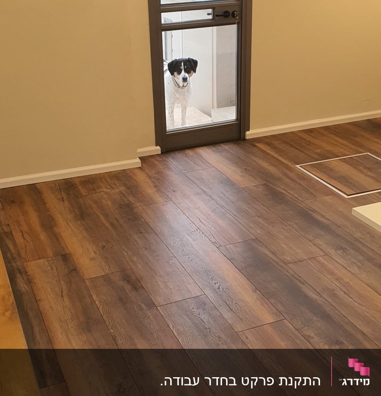 רצפת פרקט עץ כהה בחדר מואר